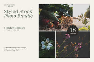 Garden Sunset | Photo Bundle