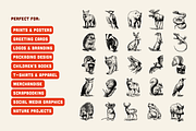 25 Woodland Animal Illustrations, an Animal Illustration by Vectorian (Thumbnail 5 of 5)