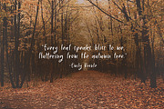 Winston Park | A Handwritten Font, a Handwritten Font by Jelligun (Thumbnail 2 of 9)