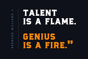 Burnt - Serif Display Font, a Serif Font by Fresh Pressed Fonts (Thumbnail 3 of 4)