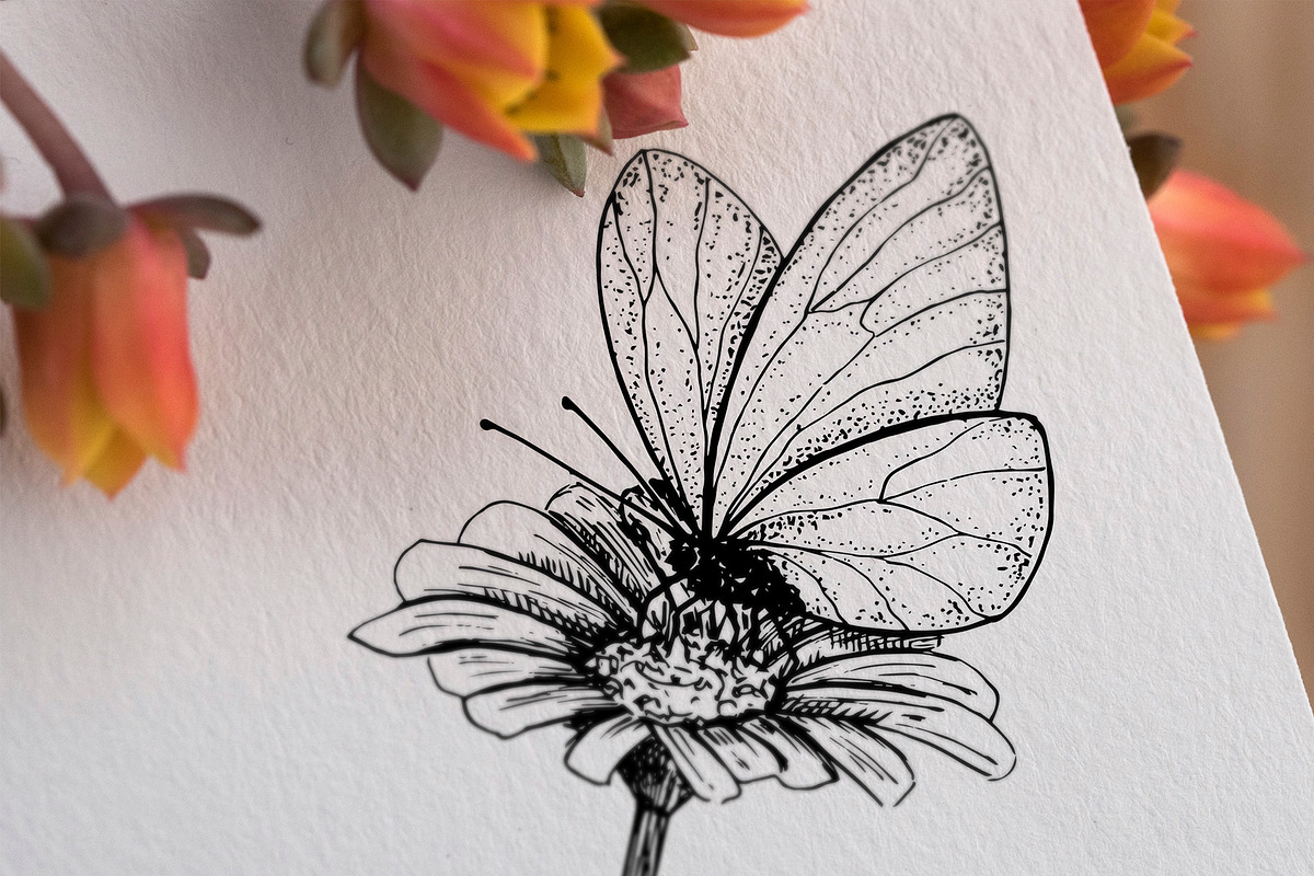 Butterfly. Hand-drawn sketch., an Illustration by Canatic (Photo 4 of 6)