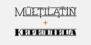 Hazelnut Pro, a Serif Font by Eimantas Paskonis (Thumbnail 4 of 5)