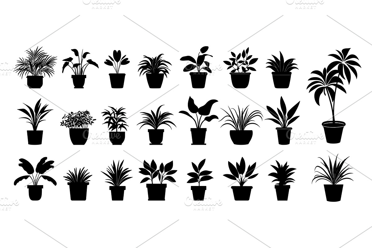 Potted plants black silhouettes, an Object Illustration by Valerie Bodnar