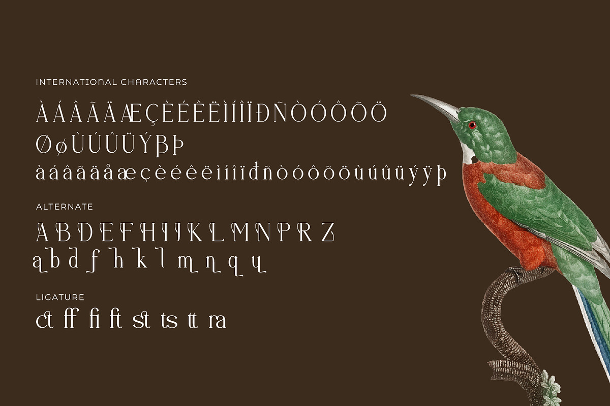 Brastoville - Modern Serif Font, a Serif Font by Rishsketch (Photo 14 of 15)
