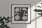 White Realistic Peonies Set, a Decorative Illustration by MarynaPetrovska (Thumbnail 9 of 16)
