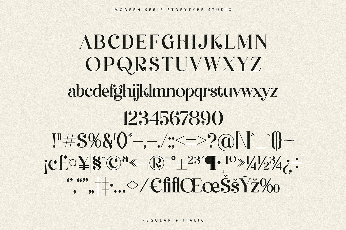 Qelrage Modern Serif Font, a Serif Font by Storytype Studio (Photo 13 of 15)