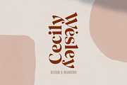 UPDATE: Rylan Modern Serif + Extras, a Serif Font by Jen Wagner Co (Thumbnail 4 of 18)