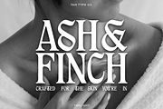 TAN - TWILIGHT, a Blackletter Font by TanType (Thumbnail 9 of 13)