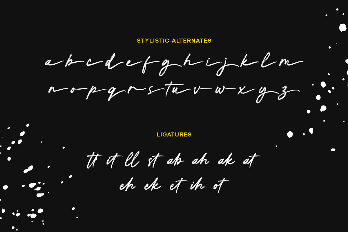 Chatamy, a Handwritten Font by Gatype (Photo 7 of 7)