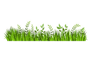 Summer grass border. Nature, an Object Illustration by the8monkey