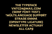 ED Pinehouse Vintage Serif, a Serif Font by Emyself Design (Thumbnail 4 of 10)