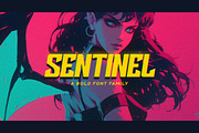 Sentinel Typeface, a Font by Tugcu Design Co. (Thumbnail 1 of 4)