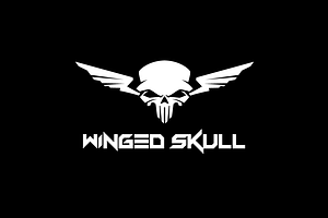 Winged Skull