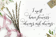 Arieteline Script, a Script Font by Zane Studio (Thumbnail 6 of 8)