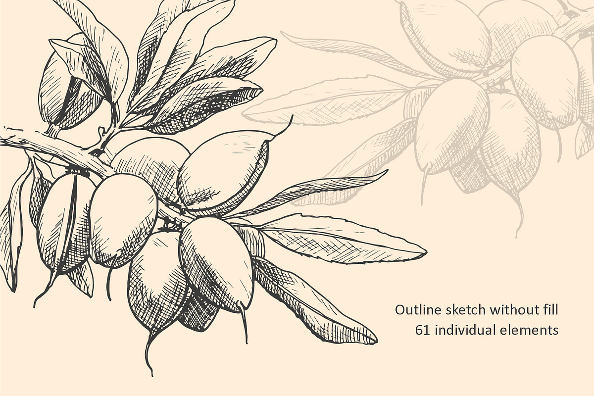 Hand Drawn Nuts set Vector, a Food Illustration by ON_lineart_store (Photo 7 of 11)