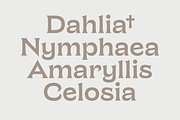 Chronique, a Serif Font by Haus Type (Thumbnail 4 of 7)