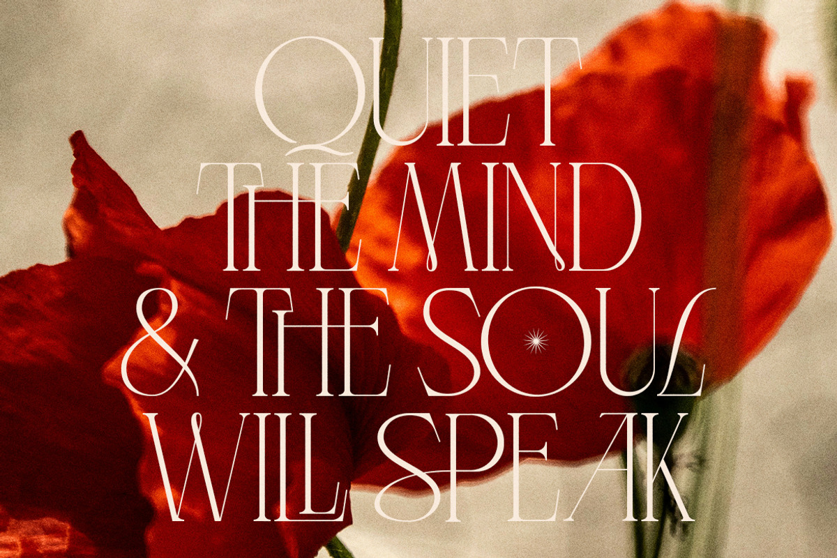 LT Verola – Rich Serif Ligature Type, a Serif Font by Luminotype (Photo 10 of 15)