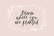 Barley | Handwritten Script Font, a Script Font by KA Designs (Thumbnail 8 of 11)