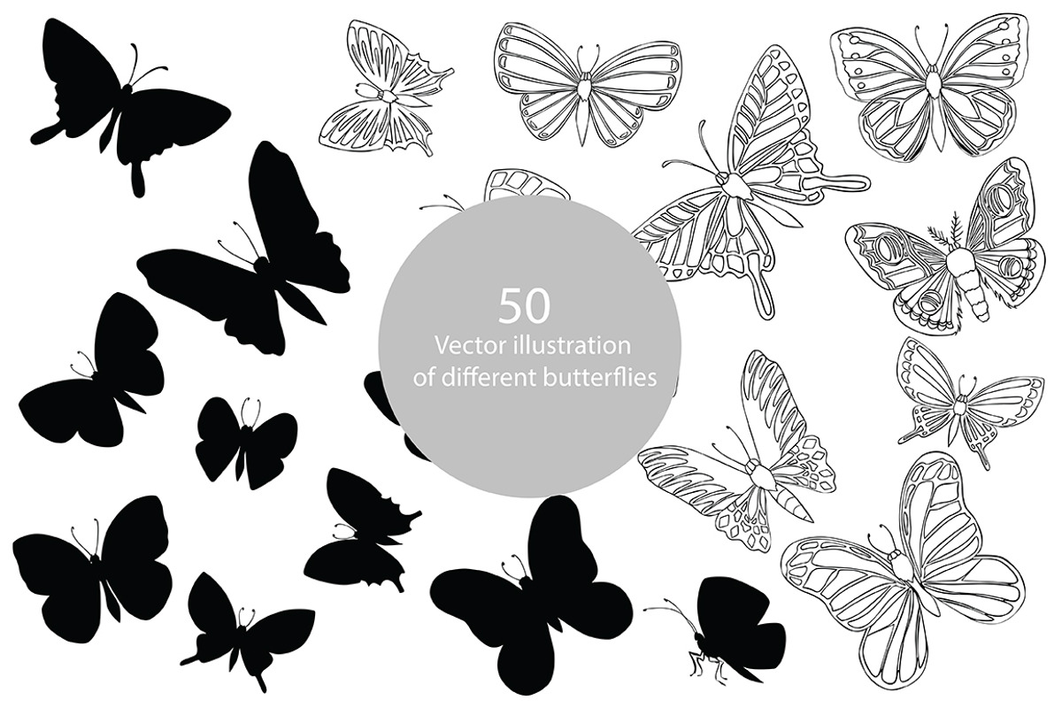Vector illustration of butterflies, an Illustration by risovanya (Photo 1 of 3)