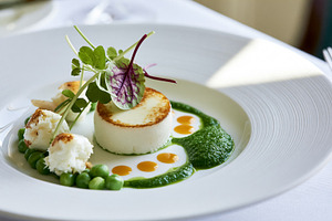 Gourmet appetizer with seared goat cheese, green pea puree, celeriac foam, and, a Photo by Studio ANNA