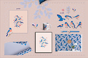 Backyard birds collections, an Illustration by Mona Ahmed (Thumbnail 3 of 10)