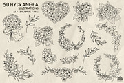 Hydrangea line art + Procreate, a Decorative Illustration by Skliarova (Thumbnail 2 of 4)
