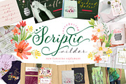 Scriptic Wilder, a Script Font by Fontdroe (Thumbnail 1 of 14)