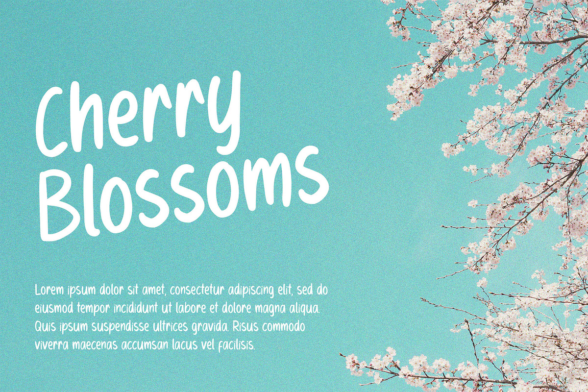 MARLONA - Playful Handwritten Font, a Symbol Font by NTC Graphic (Photo 4 of 7)