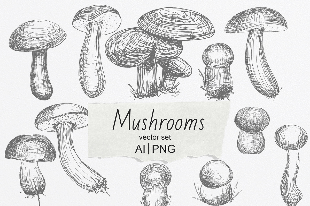 Set of Edble Hand Drawn Mushrooms, an Object Graphic by NataliArkushArt (Photo 1 of 4)