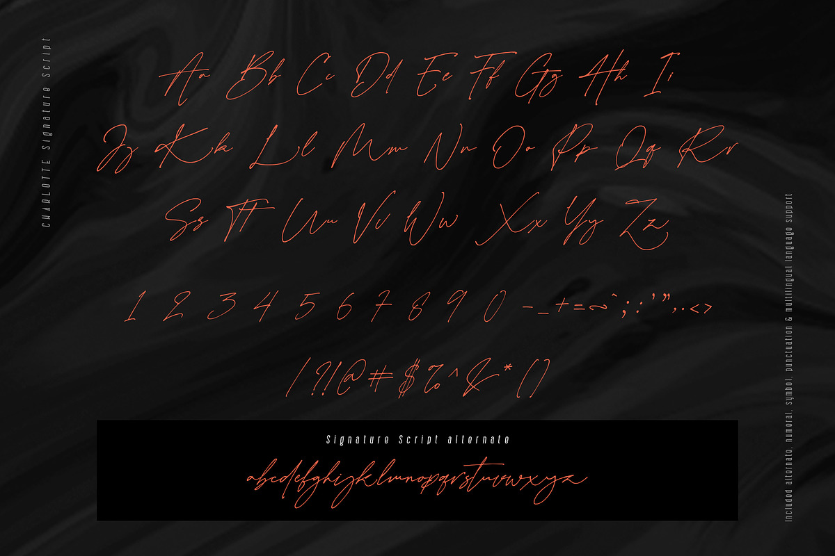 Charlotte Signature Font Duo, a Script Font by Type and Co. (Photo 11 of 18)