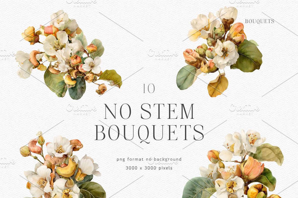 Watercolor Botanical Clipart, a Decorative Illustration by ThaismotaCreativeCo (Photo 4 of 11)