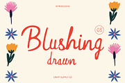 CS Blushing Drawn, a Script Font by Craft Supply Co. (Thumbnail 1 of 8)