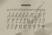 Pegiblue | Classic Signature Font, a Font by Denustudios (Thumbnail 12 of 13)