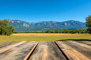 Wooden Planks Table Front View, a Background Photo by VetalStock (Thumbnail 2 of 3)
