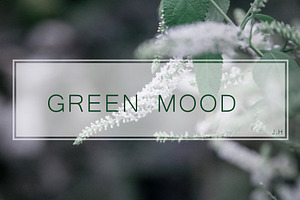 GREENMOOD Inspired Lightroom Preset
