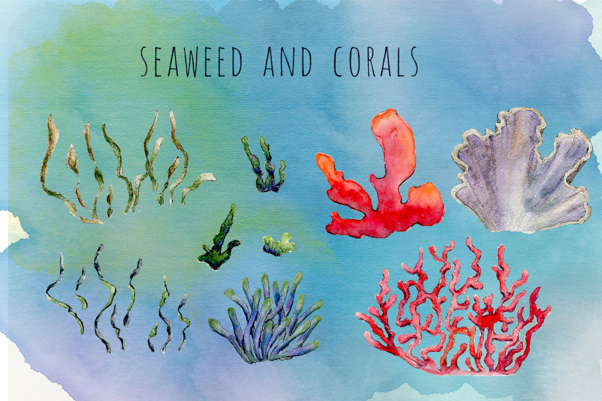 Sea watercolor adventures, an Animal Illustration by Funny-sunny (Photo 10 of 16)