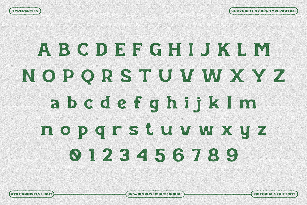 Carnivels Lights - Display Serif, a Serif Font by Typeparties (Photo 9 of 9)