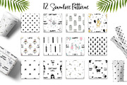 Birthday GIRL, an Animal Illustration by Oksana Stepova (Thumbnail 9 of 12)