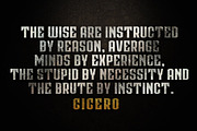 CICERO SERIES DISPLAY FONTS, a Serif Font by Alphabet Agency (Thumbnail 6 of 6)