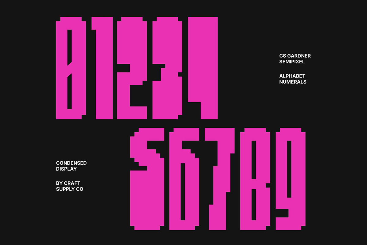CS Gardner Semipixel, a Sans Serif Font by Craft Supply Co. (Photo 6 of 8)