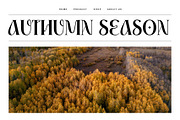 Coplifher - Modern Serif Font, a Serif Font by Mine Type Lab (Thumbnail 10 of 10)