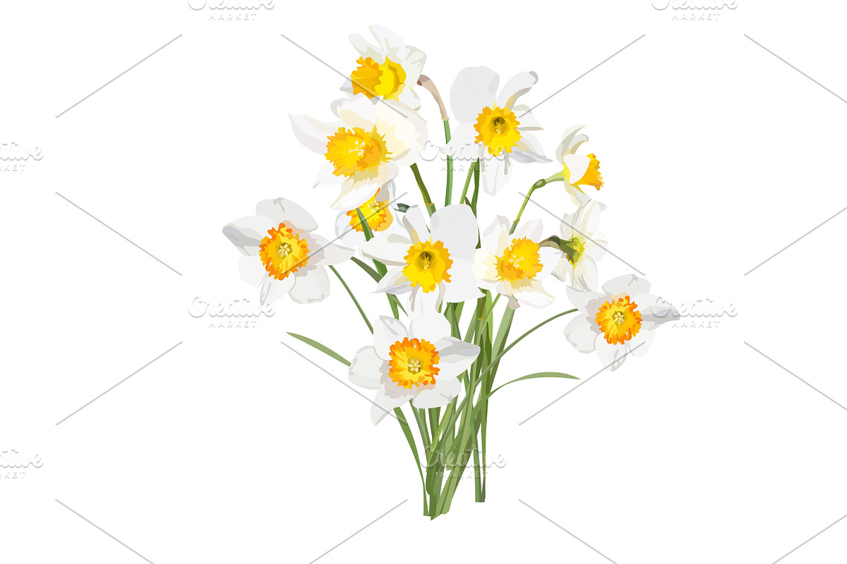 Daffodils Bouquets., an Object Graphic by Peolla (Photo 2 of 9)