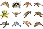 Watercolor Turtle Clipart Bundle, an Illustration by Pixels.Craft (Thumbnail 2 of 5)