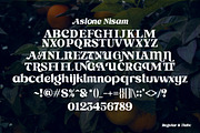 Astone Nisam, a Sans Serif Font by Gatype (Thumbnail 9 of 10)