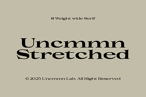 Uncmmn Stretched - 7 Style Serif
