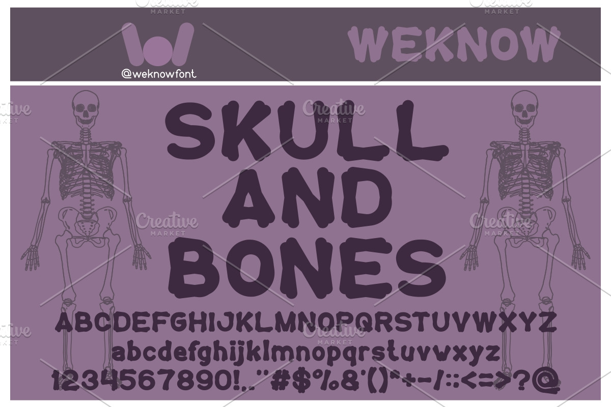 tortoise font, a Font by weknow (Photo 4 of 5)