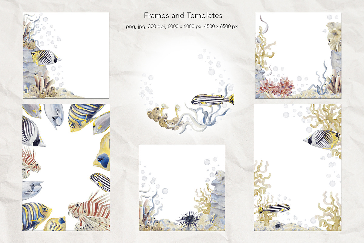 Tropical fish watercolor, an Animal Illustration by Alena Sid (Photo 7 of 11)