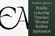 Lamonela - Serif Display Font, a Serif Font by Typetemp Studio (Thumbnail 13 of 21)