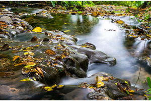 Motiepa waterfall at palenque in containing waterfall, mexico, and water, a Nature Photo by Leonid Andronov
