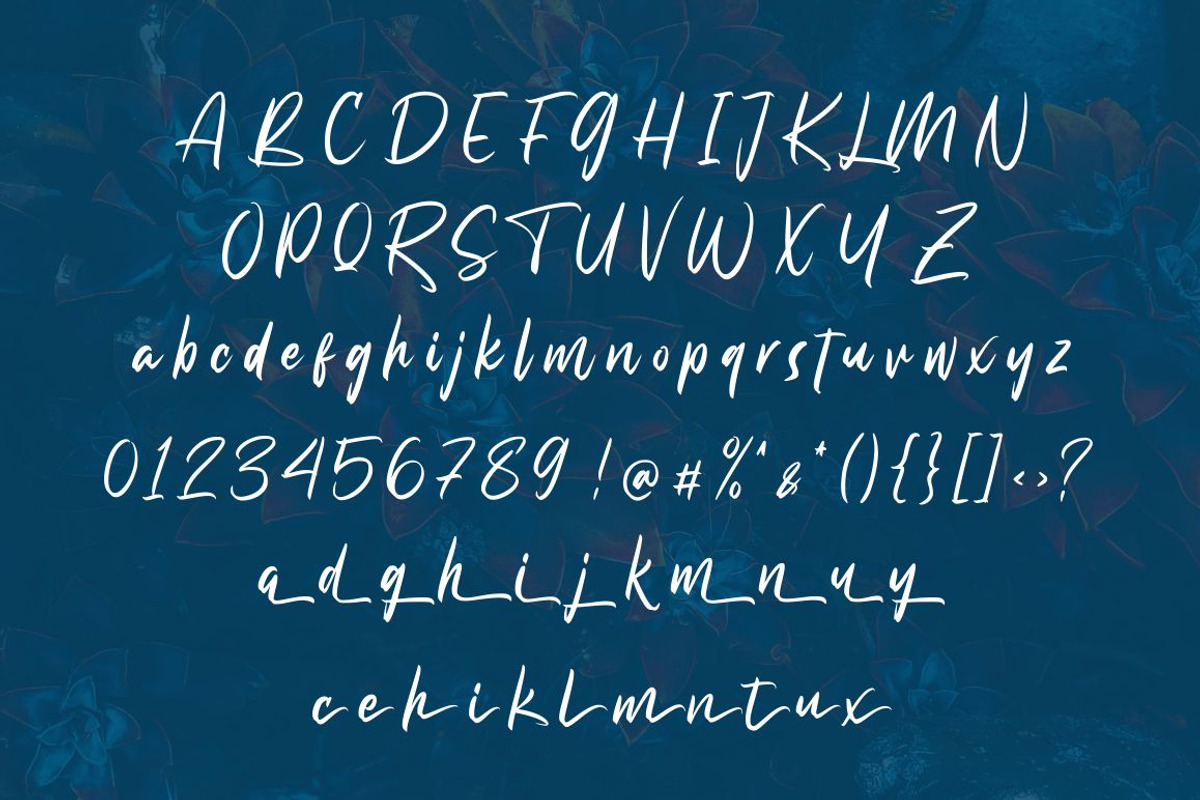 Millaguild Script preview 5